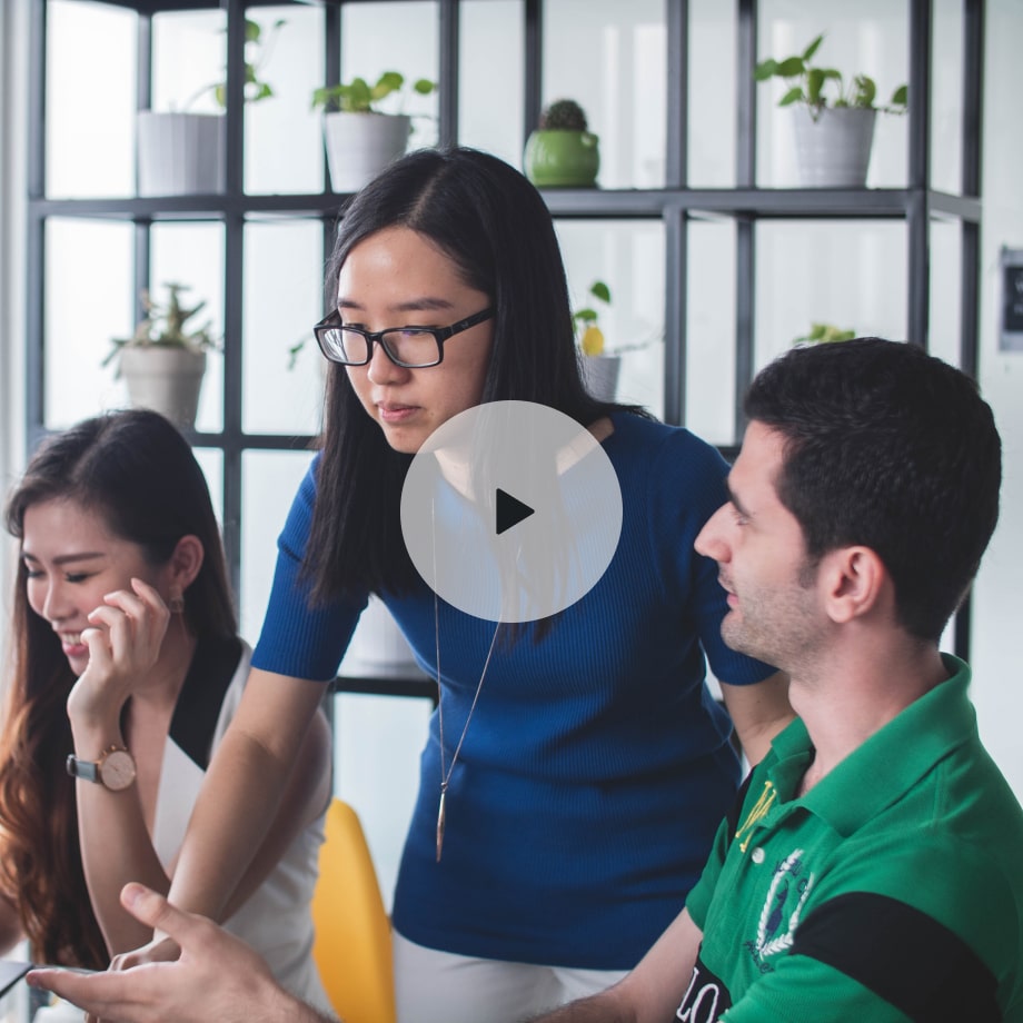 Обсуждение идей в офисе с растениями